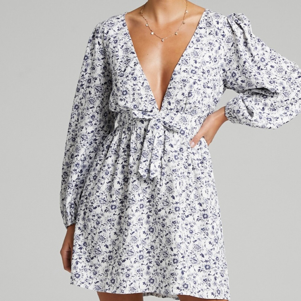 Showpo Mini Dress